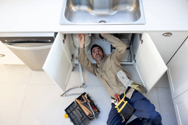 Best Clogged Drain Plumber  in Lazy Mountain, AK